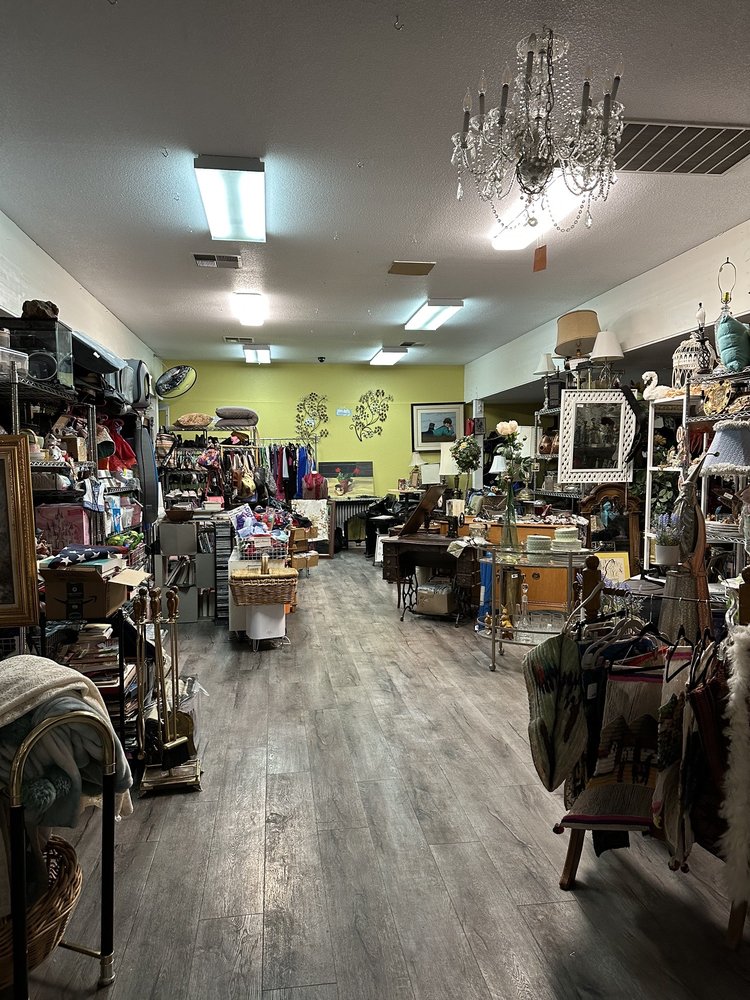 AH4S DOG JUNKIES Updated September 2024 21 Photos & 24 Reviews