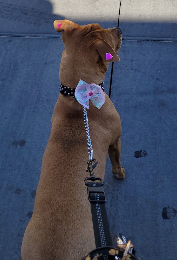 PAW SPA Updated October 2024 201 Photos & 61 Reviews 12053