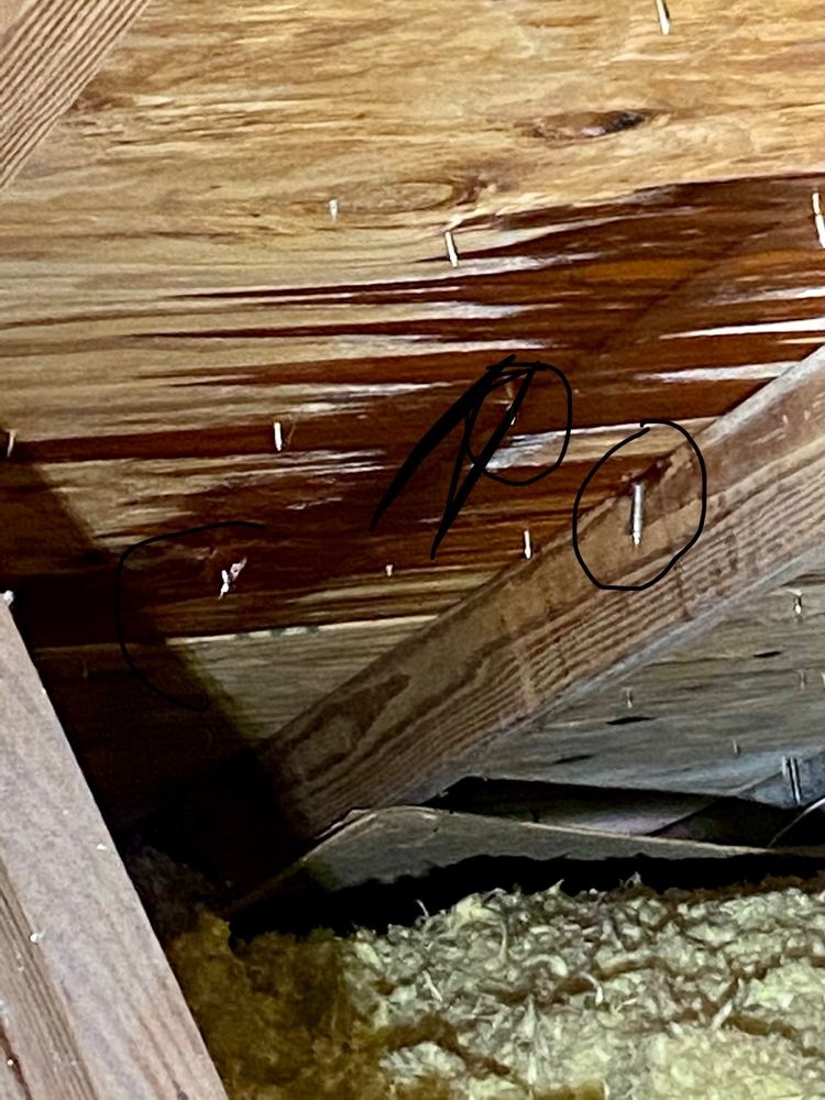 Slide of Capital Solar & Roofing