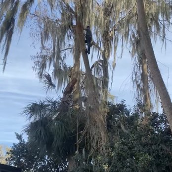 Ax Men Tree Service - Tree Services Near Me Ax Men Tree Service - Tree Services Near Me