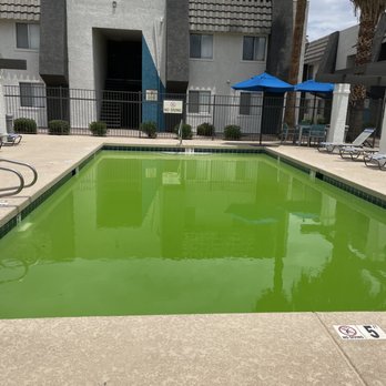 Highland Park - Green pool #2 - Apartments Near Me - Tempe, Arizona