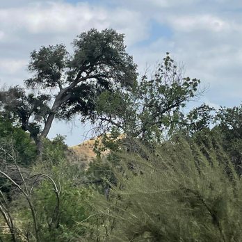 O'Melveny Park - Parks Near Me - Granada Hills, California