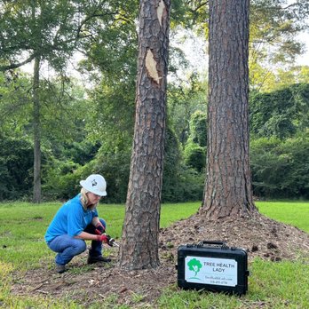 Tree Health Lady - Tree Services Near Me - Marshall, Texas Tree Health Lady - Tree Services Near Me - Marshall, Texas