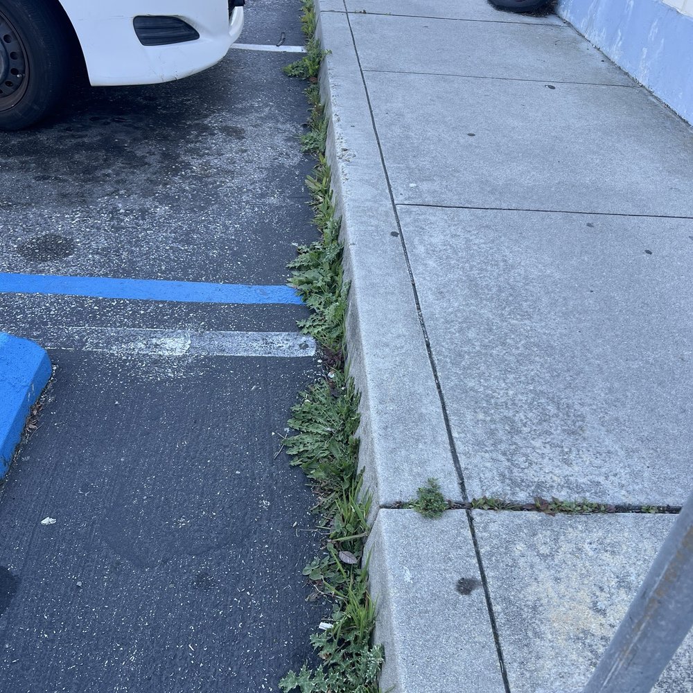 US Post Office - Embarrassed to go to this post office! Look at the weeds!!! - Post Offices Near Me - Sunnyvale, California US Post Office - Embarrassed to go to this post office! Look at the weeds!!! - Post Offices Near Me - Sunnyvale, California