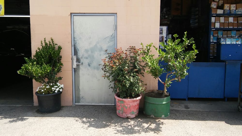 PUMAS STARTERS ALTERNATORS Updated June 2024 1349 Truman St, San