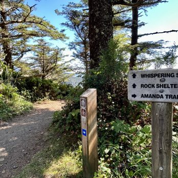 Cape Perpetua Scenic Area - Whispering Spruce Trail offers undisturbed moments along Oregon's coastline and the Pacific Ocean. - Hiking Near Me - Yachats, Oregon Cape Perpetua Scenic Area - Whispering Spruce Trail offers undisturbed moments along Oregon's coastline and the Pacific Ocean. - Hiking Near Me - Yachats, Oregon