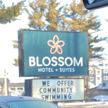 Blossom - Sign - Hotels Near Me - Traverse City, Michigan