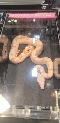 @the Grounds by null