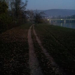 Hundewiese