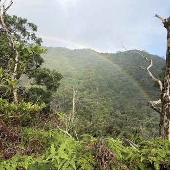 Pu'u Pia Trail - Rainbow - Hiking Near Me - Honolulu, Hawaii Pu'u Pia Trail - Rainbow - Hiking Near Me - Honolulu, Hawaii