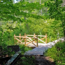 Black Brook Preserve