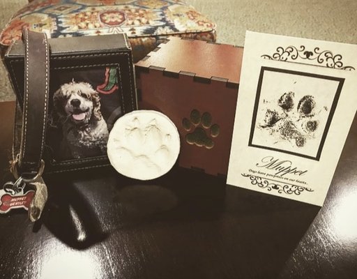 ENTRUSTED PETS - Updated June 2026 - 36 Photos & 50 Reviews - 2135 S