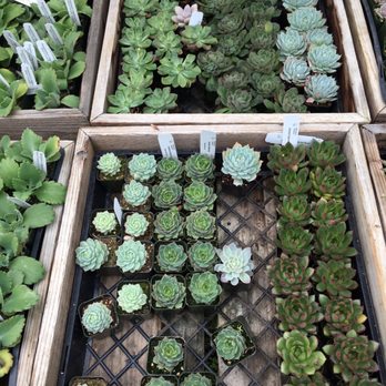 Half Moon Bay Nursery 383 Photos 190 Reviews Nurseries Half Moon Bay Nursery 383 Photos 190 Reviews Nurseries