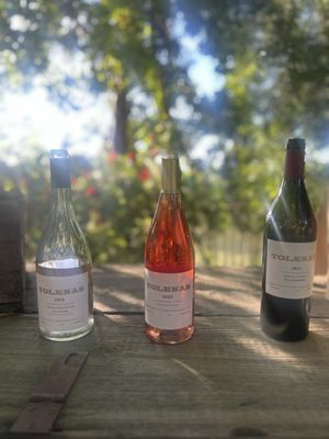 Tolenas Winery by null
