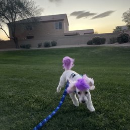 Romeo loving life!