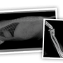 Photo of Parkside Veterinary Centre
