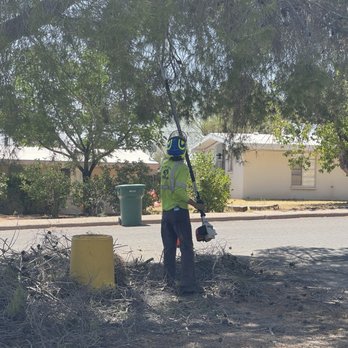 R.O. Landscape & Tree Service - Tree team - Landscaping Near Me - Tucson, Arizona