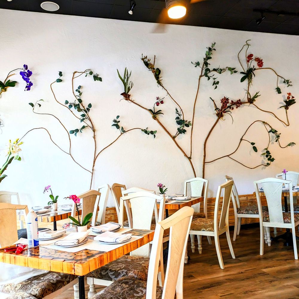 Green Zebra Cafe - Decor - Juice Bars & Smoothies Near Me - Sarasota, Florida Green Zebra Cafe - Decor - Juice Bars & Smoothies Near Me - Sarasota, Florida
