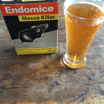 Foxy Johns - You can only get rat poison and beer at so many bars! - Pubs Near Me - Dingle, Kentucky