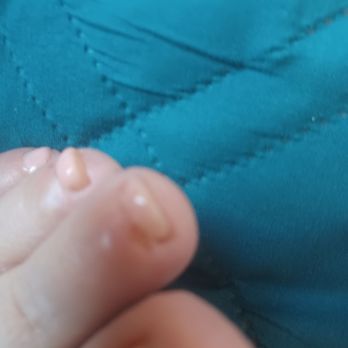 Lotus Nails - Nail Salons Near Me - Corvallis, Oregon Lotus Nails - Nail Salons Near Me - Corvallis, Oregon
