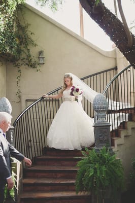 David's Bridal Glendale AZ by null