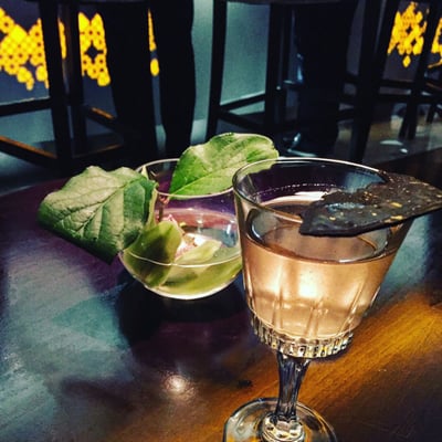 Juniper Edinburgh by null