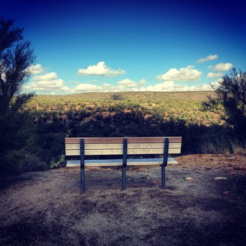 Catalina State Park - Parks Near Me - Tucson, Arizona Catalina State Park - Parks Near Me - Tucson, Arizona