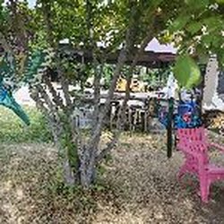 Origin Wines - Cool bird decorations in the trees