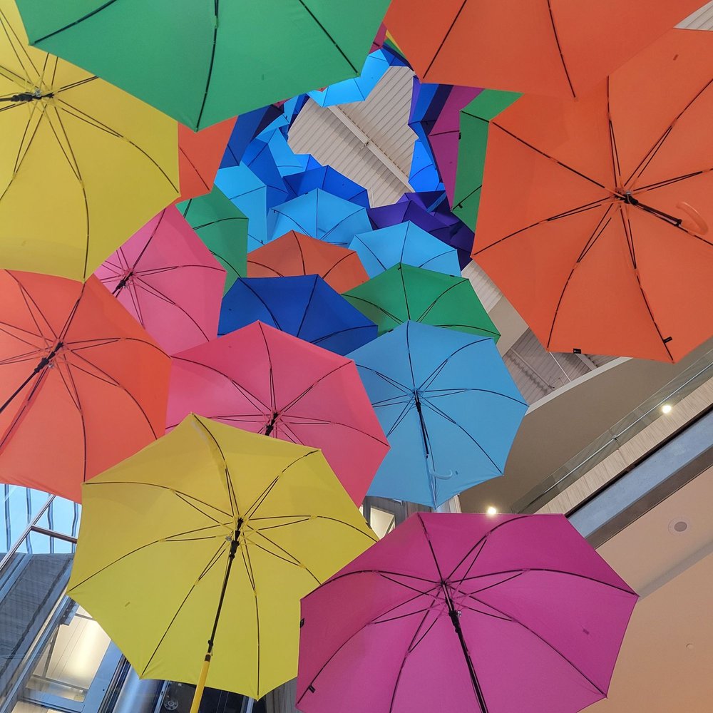 Bellevue Square - Standing right underneath the giant umbrella collection. - Shopping Centers Near Me - Bellevue, Washington Bellevue Square - Standing right underneath the giant umbrella collection. - Shopping Centers Near Me - Bellevue, Washington