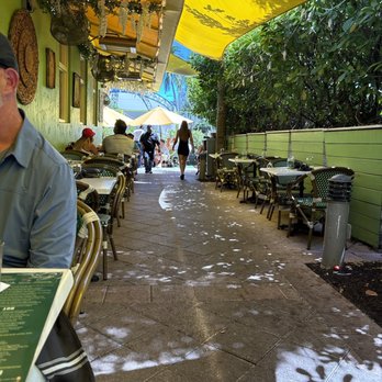 Avocado Grill - Outside patio. - Tapas/Small Plates Near Me - West Palm Beach, Florida