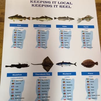 Reel Dingle Fish - Fish & Chips Near Me - Dingle, Kentucky