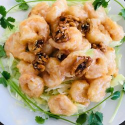 Tasty Mandarin - Honey Walnut Shrimp 核桃虾