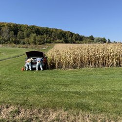 Springridge Farm