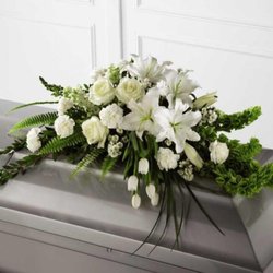 Bill Bush Flowers - Photo