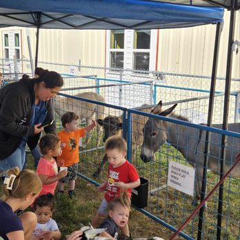 C&k Mobile Petting Zoo - Petting Zoos Near Me - Pevely, Missouri C&k Mobile Petting Zoo - Petting Zoos Near Me - Pevely, Missouri