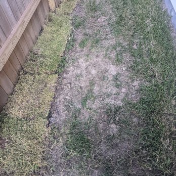 Century Communities - French Drains installed, but grass not replaced by contracted warranty company - Home Developers Near Me Century Communities - French Drains installed, but grass not replaced by contracted warranty company - Home Developers Near Me