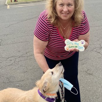 Pet Supplies Plus Medford - Brandy!! Gotcha cookie  from Pet Supply!! - Pet Stores Near Me - Medford, Massachusetts