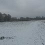 Photo of Zingerwiesen