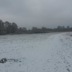Zingerwiesen - Zingerwiesen unter Schnee