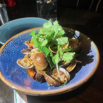 Reckless Noodle House - Manila clams - Bars Near Me - Seattle, Washington Reckless Noodle House - Manila clams - Bars Near Me - Seattle, Washington