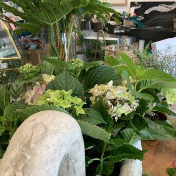 Trellis Floral - Florists Near Me - Raleigh, North Carolina Trellis Floral - Florists Near Me - Raleigh, North Carolina