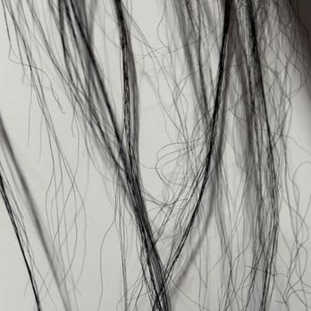 Salon One - Hair Salons Near Me - Alameda, California