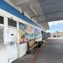 A Smog Test Only