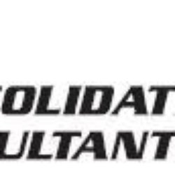 Consolidated Insurance Consultants Inc