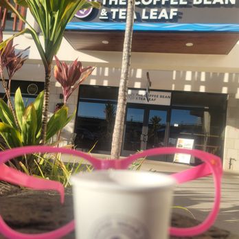The Coffee Bean & Tea Leaf - #Grateful Olivia giving out free samples of tea mahalo Thanksgiving Eve - Coffee & Tea Near Me - Honolulu, Hawaii The Coffee Bean & Tea Leaf - #Grateful Olivia giving out free samples of tea mahalo Thanksgiving Eve - Coffee & Tea Near Me - Honolulu, Hawaii
