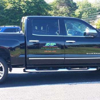 Zap Pest Control - Pest Control Near Me - Media, Pennsylvania Zap Pest Control - Pest Control Near Me - Media, Pennsylvania