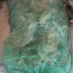Capt Jonathan's Seafood - Fresh oyster  $45.00 a sack