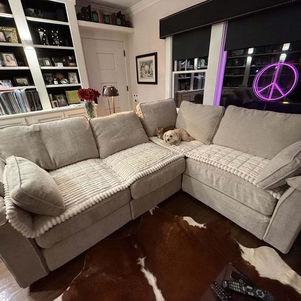 Lovesac - LoveSac with a pet protectors - Furniture Stores Near Me - Roseville, California