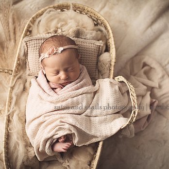 Snips & Snails Photography - hagerstown newborn photos - Session Photography Near Me - Greencastle, Pennsylvania Snips & Snails Photography - hagerstown newborn photos - Session Photography Near Me - Greencastle, Pennsylvania