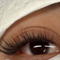 40 Winks Lashes